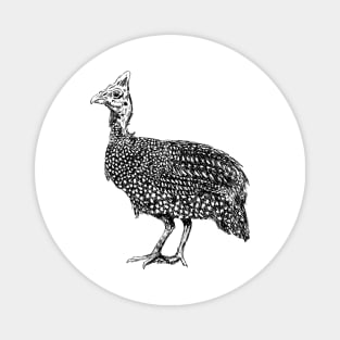 Guinea Fowl Bird Print Magnet